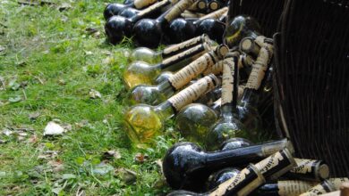 Alkoholikertypologie nach Jellinek