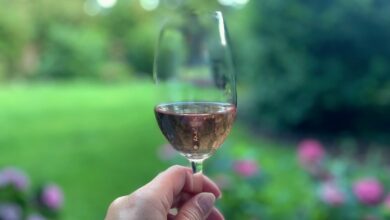 Wie schnell erholt sich der Körper vom Alkohol